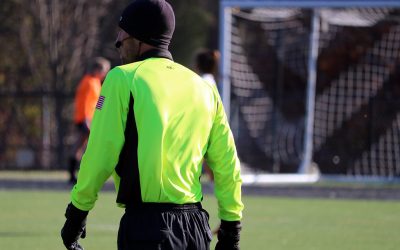 Treatment of Officials – A Rehabilitation Process